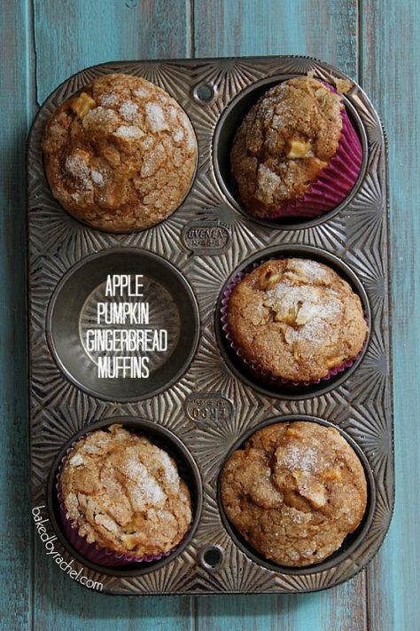 Apple Pumpkin Gingerbread Muffin Recipe from bakedbyrachel.com Pumpkin Gingerbread Muffins, Gingerbread Muffins Recipe, Pumpkin Gingerbread, Gingerbread Muffins, Apple Pumpkin, Muffin Recipe, Snacks Für Party, Muffin Tin, Muffin Recipes