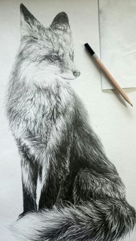 Fox Drawing Realistic, Ladowska Art, Fox Pencil Drawing, Fox Drawing Sketches, Cartoon Fox Drawing, Small Fox Tattoo, Drawing Fur, How To Draw Fur, Fox Sketch