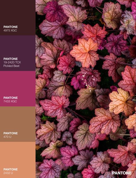 Aubergine Color Combination, Magenta Colour Combination, Brown And Pink Bedroom, Eggplant Color Palette, Aubergine Color Palette, Ombre Quilt, Fall Vision Board, Aubergine Color, Analogous Color Scheme