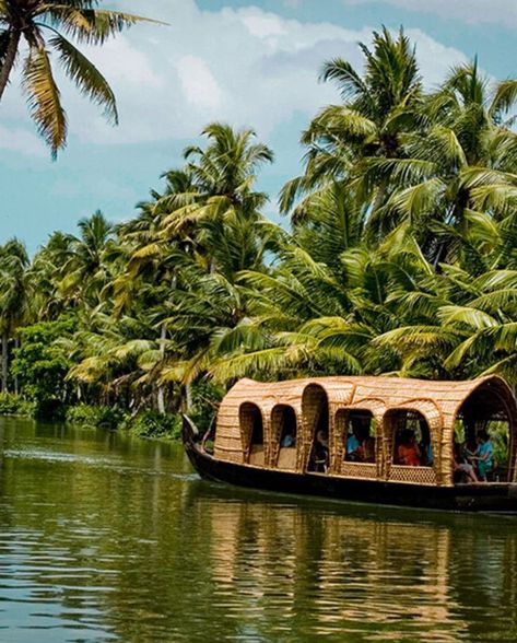 If you're traveling to Kerala, India soon, you don't want to skip this ultimate 5-day travel guide! From relaxing at the beach to adventuring in the tiger reserves and exploring its tea plantations, Kerala is the perfect spot for a travel adventure. Learn the best tips on the must see spots and how to immerse yourself in their culture with this itinerary. Find out how to pay the same (no, really!) and get WAY more when you have a Fora advisor plan your trip to Kerala at foratravel.com. Kerala Backwaters, Kerala Travel, India Travel Guide, Responsible Tourism, Kerala Tourism, Kerala India, Sustainable Travel, New Year Holidays, Tourist Places