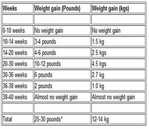 undefined Pregnancy Weight Gain Chart, Pregnancy Chart, 15 Weeks Pregnant, Pregnancy Weight Gain, Pregnancy Calculator, Cervical Mucus, Pregnancy Nutrition, Pregnancy Months, Pregnant Diet