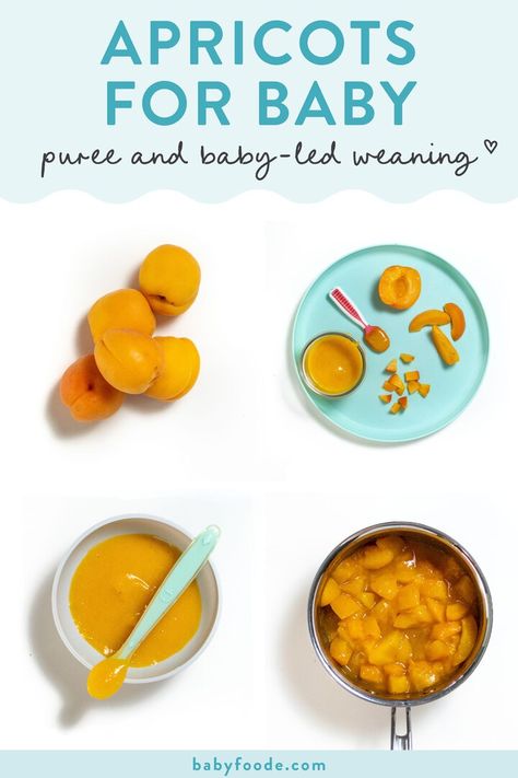 Apricot Puree Recipes, Baby Purees, Baby Led Weaning Breakfast, Puree Recipes, Baby Led Weaning First Foods, Apricot Recipes, Peach Puree, Baby Led Weaning Recipes, Baby First Foods