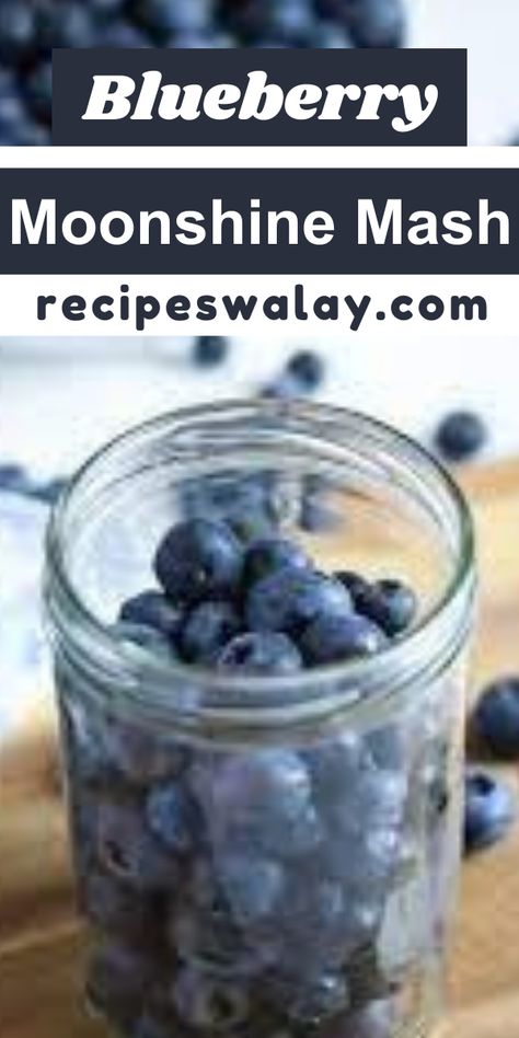 Our Blueberry Moonshine Mash recipe is a testament to the fusion of tradition and innovation, offering a tantalizing journey for your taste buds. 
#Blueberry #Moonshine #Mash #Recipe Moonshine Recipes Mash, Blueberry Moonshine Recipe, Salted Nut Roll Shot, Blueberry Moonshine, Moonshine Mash Recipe, Lemon Pepper Sauce, Vodka Sauce Recipe, Pepper Sauce Recipe, Mash Recipe