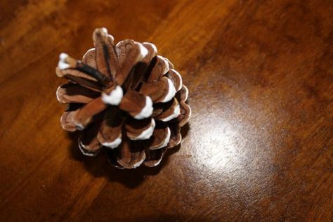 More decorated pinecones! Snow frosted pinecones. Frosted Pinecones, Pine Cones, Christmas Decorations, Christmas