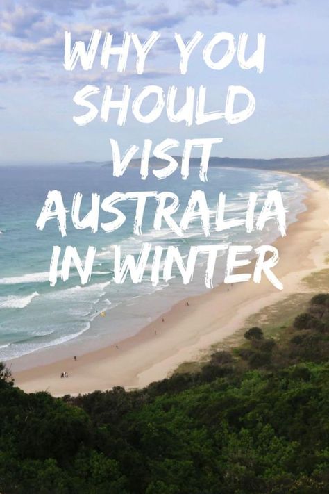 Why you should visit Australia in Winter, tips and advice on things to do in winter in Australia. The best time of year to visit #Australia, including why Vivid Sydney needs to be on your winter itinerary! Australia In Winter, Australia Packing List, Things To Do In Winter, Scuba Diving Australia, Winter In Australia, Vivid Sydney, Australia Trip, Winter Tips, Australia Tourism