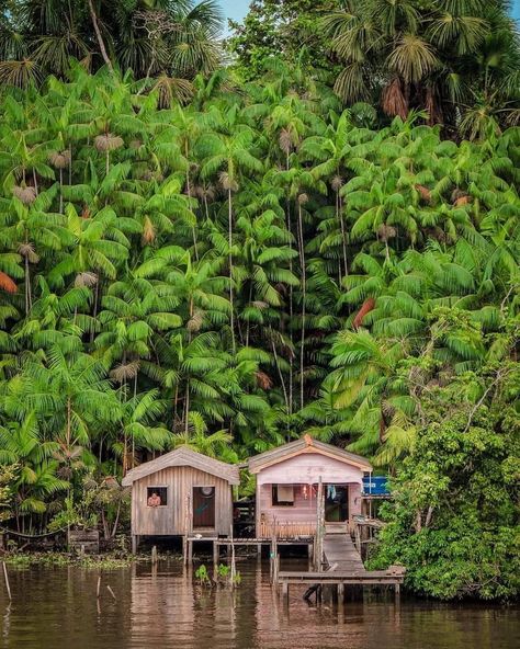 Culture Background, Amazon River, Brazil Travel, Belem, Map Design, Nature Aesthetic, Rio De Janeiro, Adventure Travel, Peru