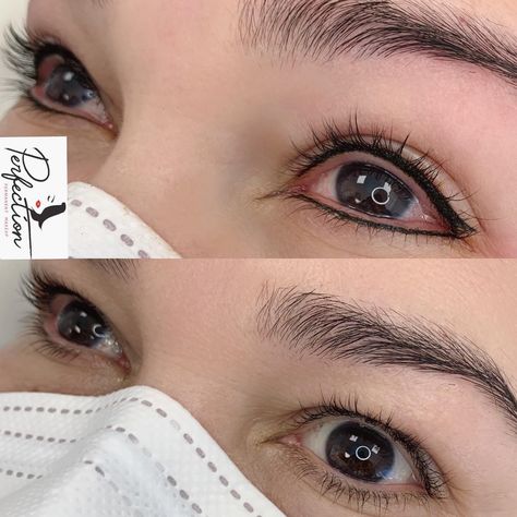 Eyelashliners of Top&Bottom🖤, really help to pop up your eyes better! Lovely! Performed by Master artist. 一一一一一一一一一一一一一一一一 Bookings ⠀ ☎️: 443-935-8030 ⠀ 💻: https://perfectionpermanentmakeup.com 一一一一一一一一一一一一一一一一 #eyelinerpermanentmakeup#eyelinertattoo#dcmicroblading#permanantmakeup#tattooeyeliner#microbladingarlington#microbladingva#2022microblading#permanentmakeupmd#eyelinermicropigmentation Eyeliner Tattoo, Your Eyes, Eyeliner, Pop Up, Nose Ring, Tattoos, Makeup, Make Up