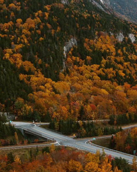 AUTUMN 🍁 from the east coast to the west coast 1. Stowe, Vermont 2. Kebler Pass, Colorado 3. Cambridge, Vermont 4. Maple Pass, North Cascades Washington 5. Quinault Rainforest, Washington 6. Maine 7. Utah 8. Stowe, Vermont 9. Acadia National Park, Maine 10. Conway, New Hampshire 11. Willamette Valley, Oregon 12. Stowe, Vermont 13. Glidden Point Oyster Farm, Maine 14. White Mountains, New Hampshire 15. Quinault Rainforest, Washington 16. Rockland, Maine Quinault Rainforest, Cascades Washington, Willamette Valley Oregon, Conway New Hampshire, White Mountains New Hampshire, Rockland Maine, Acadia National Park Maine, Stowe Vermont, Willamette Valley