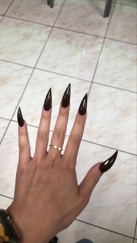 Brown Stilleto Nails Long, Long Acrylic Nails Dark, Long Stiletto Acrylic Nails, Brown Stiletto Nails, Stiletto Acrylic Nails, Gold Stiletto Nails, Long Black Nails, Stiletto Shaped Nails, Fall Szn