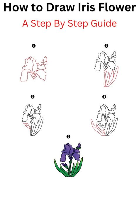 How to Draw Iris Flower Iris Drawing Tutorial, Draw Iris Flower, Iris Drawing, Kinds Of Flowers, Cool Drawing, Flower Drawing Tutorials, Boring Life, Iris Flower, Iris Flowers