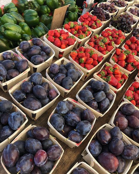 When the mercury drops, here are the Westchester County farmers' markets you can still shop at all winter long. Farmers Market Aesthetic Fall, Bach Brunch, Autumn Farmers Market Aesthetic, Summer Farmers Market Aesthetic, Autumn Farmers Market, Winter Farmers Market, Fall Farmers Market, Farmer’s Market Aesthetic, Farmers Market New York