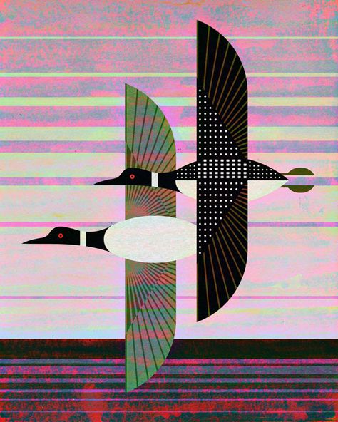 Loon Illustration, Scott Partridge, Charley Harper Art, Charlie Harper, Common Loon, Charley Harper, Bird Quilt, Geometric Animals, Arte Animal