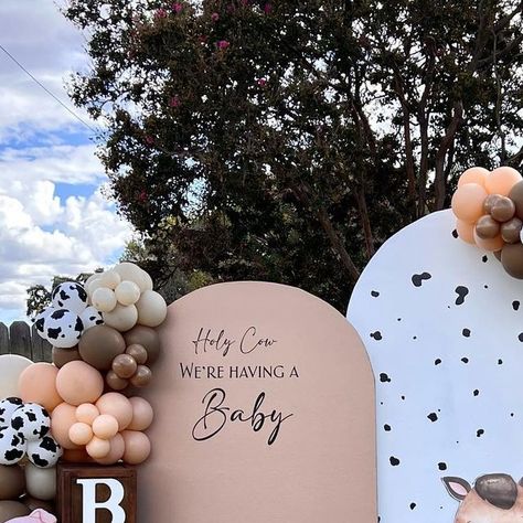 Mitzi’s Balloons & Rentals on Instagram: "Holy cow we’re having a baby 🐮✨ this install was perfect 😍 Balloons & backdrop @balloons_bymitzi Baby blocks @saltysweets.rentals Balloons purchased @todoballoons #genderreveal #itsagirl #itsaboy #babyblocks #harbales #cow #pig #horse #wheels #wagonwheels #blocks #genderreveal" Boho Western Gender Reveal Ideas, Gender Reveal Themes Western, Holy Cow Were Having A Baby Shower Theme, Country Theme Baby Shower Ideas, Hiland Cow Baby Shower Ideas, Holy Cow Baby Shower Theme Boy, Gender Reveal Ideas For Party Western, Gender Reveal Ideas Country Theme, Gender Reveal Western