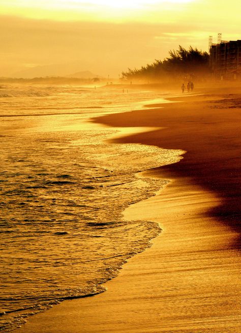 Yellow sea, Brazil Yellow Aesthetic Pastel, Yellow Sea, Midas Touch, Subtle Beauty, Yellow Sky, Ocean Pictures, Gold Aesthetic, Yellow Wallpaper, Shades Of Gold