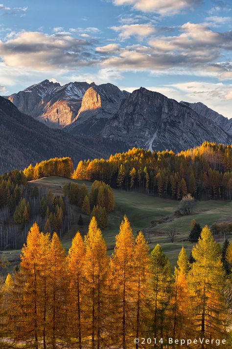 Dolomites by Beppeverge Colorful Landscape Photography, Autumn Gardening, Fall Landscapes, Autumn Mountains, Nature Autumn, Fall Garden, Autumn Scenes, Autumn Scenery, Autumn Landscape