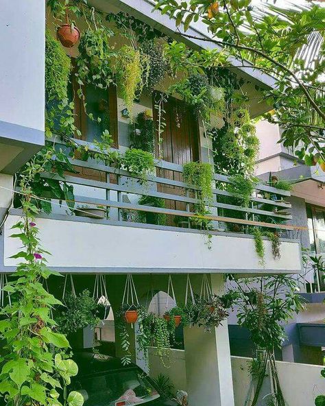 Klein Balkon Decor, Apartment Balcony Garden, Colorful Room Decor, Indian Room Decor, Indian Bedroom Decor, Small Balcony Garden, India Home Decor, Terrace Decor, Courtyard Gardens Design