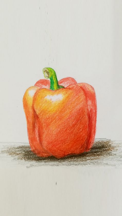 How to Draw a Capsicum Step by Step Pepper Drawing Pencil, Capsicum Drawing, Bell Pepper Drawing, Vegetable Drawing, Sweet Bell Peppers, Sweet Pepper, Pencil Shading, Color Pencil Drawing, Stuffed Sweet Peppers