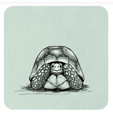 Tortoise Drawing, Tortoise Tattoo, Turtle Sketch, Turtle Tattoo Designs, Turtle Time, Turtle Drawing, Writing Blog, Tortoise Turtle, Turtle Tattoo