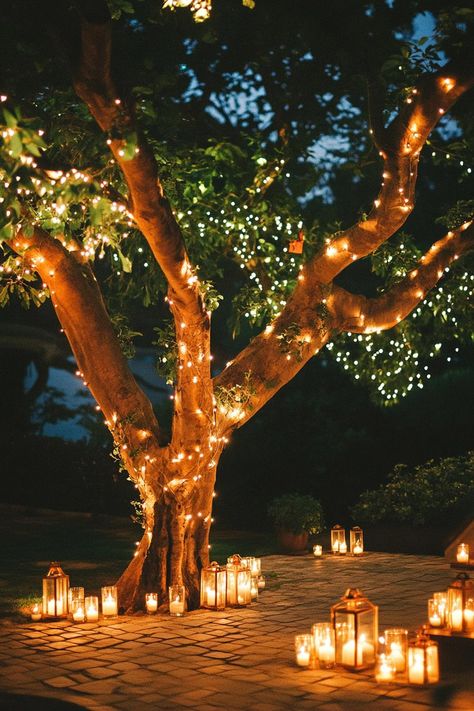 Enchanted forest theme wedding outdoor decor with a tree decorated with fairy lights and tiny lanterns under the tree there is a paved ground lined. Let your big day become a magical woodland affair with these enchanting forest wedding ideas that’ll make your guests feel like they’ve stepped into a fairy tale. Enchanted Forest Wedding Venue Fairytale, Forest Party Theme, Tree Lights Wedding Enchanted Forest, Enchanted Forest Theme Sangeet, Wedding Ideas Simple, Enchanted Forest Wedding Welcome Sign, Forest Wedding Theme, Mystical Wedding, Wedding Venue Forest Fairy Lights