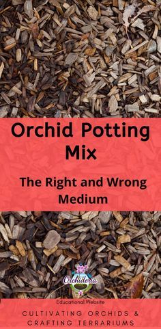 Pots For Orchids Planters, Orchid Soil Mix Diy, How To Plant Orchids In Pots, Orchid Potting Mix Diy, How To Repot Orchids, How To Plant Orchids, Orchid Potting Ideas, Orchid Planter Ideas, Orchid Potting