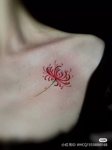 Japan Tattoos For Women, Spider Lily Tattoo Collar Bone, Spider Chrysanthemum Tattoo, Spider Lilies Drawing, Neck Side Tattoo, Red Chrysanthemum Tattoo, Flower Tattoo On Neck, Red Lily Tattoo, Spider Lilly Tatoos