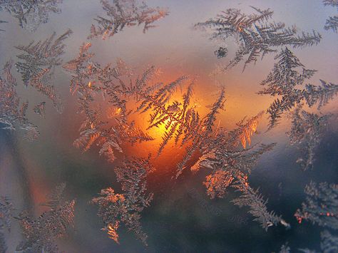 Snow Beauty, Ice Aesthetic, Ice Photo, Ice Photography, Sun Aesthetic, Orange Glow, The Setting Sun, I Love Winter, Winter Sunset