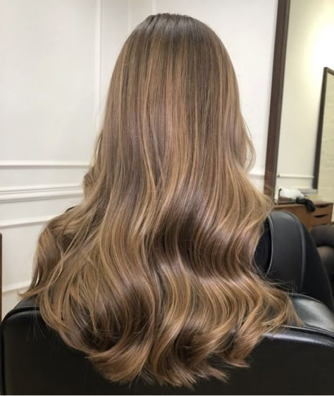 Medium Length Light Brown Curly Hair, Honey Babylights On Light Brown Hair, Honey Brown Babylights, Babylights Light Brown Hair, Honey Babylights On Brown Hair, Light Brown Babylights, Babylights On Brown Hair, Light Brown Hair With Babylights, Dark Brown To Light Brown Balayage