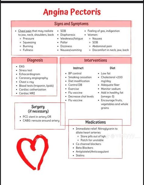 Angina Pectoris #medicalschool #resources #medicalstudent - Image Credits: Janey B Angina Pectoris, Elderly Activities, Nursing School Notes, Med School, Medical Students, School Notes, Medical School, Nursing School, Nursing