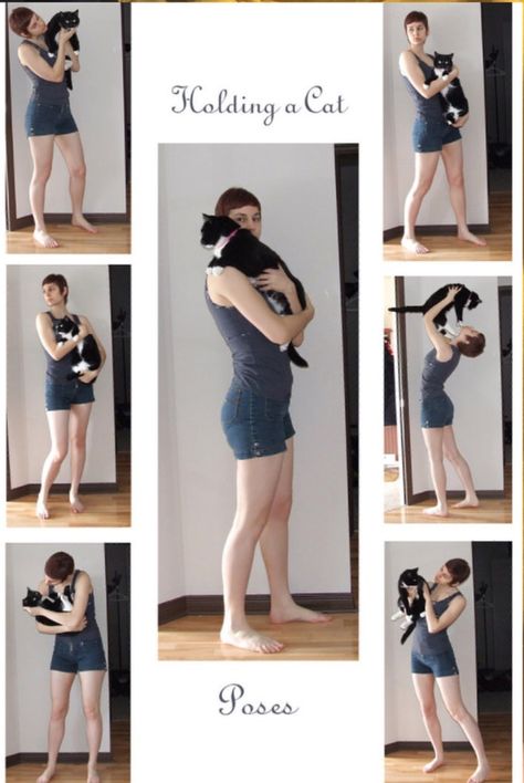 Holding A Cat, Action Pose Reference, Cat Reference, People Poses, Female Pose Reference, Human Reference, Cat Pose, Body Reference Poses, Human Poses Reference