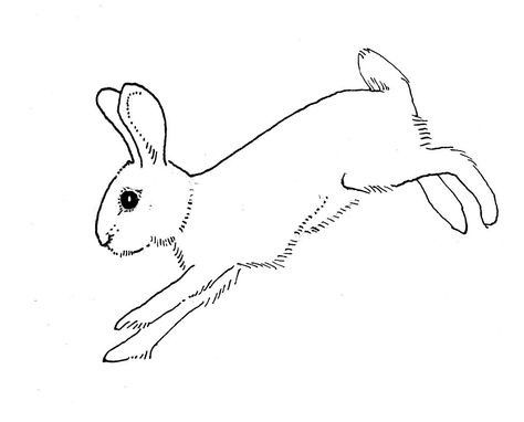 rabbit outline running | Dru | Flickr Rabbit Outline, Bunny Jumping, Draw A Bunny, Bunny Jump, Whimsical Rabbit, Running Drawing, Running Rabbit, Rabbit Jumping, Soft Shading