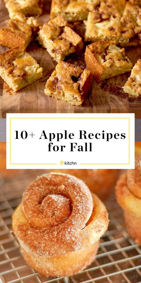 Apple Party Recipes, What To Do With Picked Apples, Thing To Make With Apples, What To Do With All My Apples, Freezer Friendly Apple Recipes, Apple Desserts To Freeze, Things To Do With Apples Easy, What To Do With So Many Apples, Recipes With Dried Apples