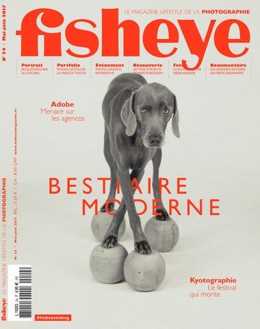 Dog Magazine Layout, Dog Magazine Cover, Wired Magazine Cover, Magazine Cover Layout, Magazine Cover Page, Magazine Cover Ideas, Animal Magazines, Magazine Design Cover, Magazine Layout Inspiration