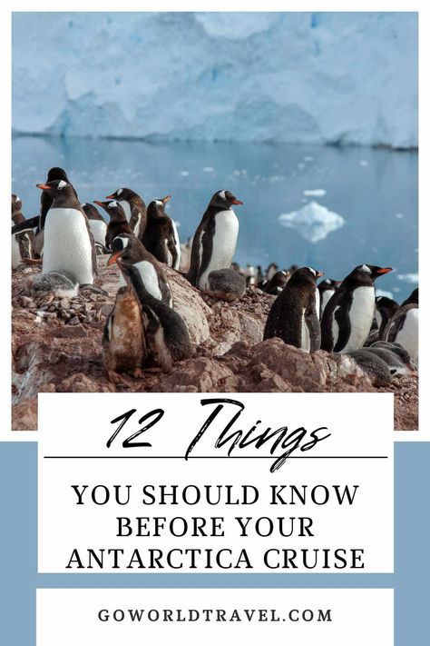 Antarctica Travel To Antarctica, Antarctica Cruise Packing List, Antartica Cruise, Antarctica Trip, Travel Antarctica, Canon R7, Antarctica Expedition, Arctic Cruise, Cruise Wardrobe