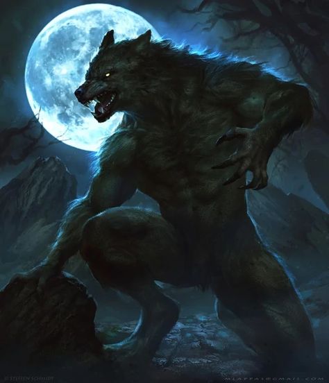 Fantasy Werewolf, A Wolf, Full Moon, Moon