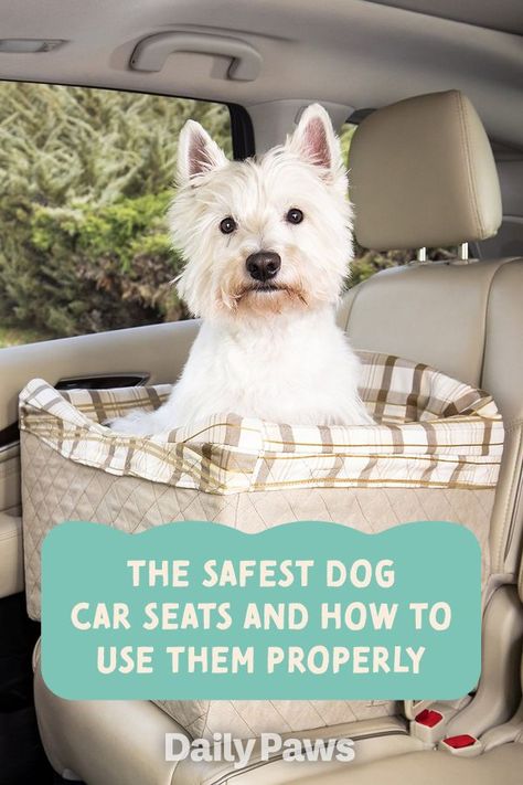 Give your dog a dedicated space in the car with a dog car seat. These are the 6 car seats we recommend to keep your dog safe while traveling. #petessentials #petgear #pettoys #treats #dogtoys #cattoys #cattreats #dogtreats #petexperience Dog Booster Seat For Car, Dog Seat For Car, Dog Car Seat Diy, Small Dog Car Seat, Puppy Car Seat, Dog Car Booster Seat, Dog Car Safety, Pet Diy, Booster Seats