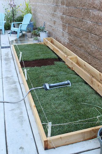 Planting Grass on Concrete – Part 1 | Changing My Destiny Diy Dog Potty Area, Enclosed Backyard, Pasto Natural, Backyard Dog Area, Porch Potty, Dog Potty Area, Indoor Dog Potty, Dog Backyard, Planting Grass