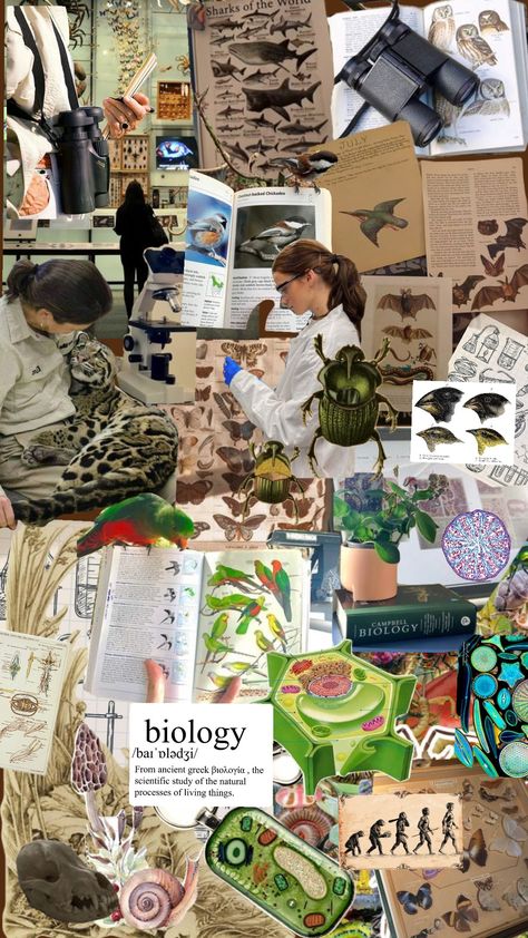 #naturalistcollage #collage #biology #biologystudent #biologyaesthetic #biologyshuffle #student #studentcore #science Biological Sciences Wallpaper, Biology Profile Picture, Evolutionary Biology Aesthetic, Biological Sciences Aesthetic, Biology Aesthetic Cover, Natural Science Aesthetic, Biology Collage, Biology Aesthetic Wallpaper, Biology Major Aesthetic