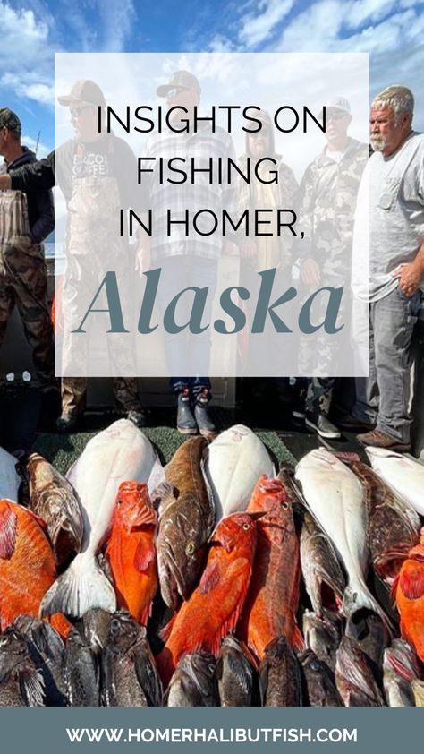 When I think of Homer, Alaska, I think of all the incredible adventures offered in the great outdoors! Above all, our favorite outdoor adventures is fishing Homer, Alaska. With Homer being the Halibut Capitol of the World, it only makes sense to experience what it’s like to fish these bountiful waters! Here, we explore fishing opportunities, choosing a charter, and preparing for your trip. Alaska Fishing Trip, Fishing In Alaska, Alaska Salmon Fishing, Halibut Fishing, Homer Alaska, Vision 2024, Alaska Fishing, Alaska Vacation, Salmon Run