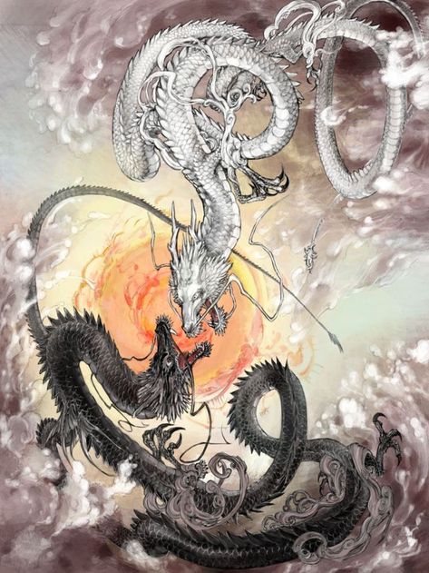 Chinese Dragon Art, Dragon Tattoo Art, Eastern Dragon, Dragon Artwork Fantasy, Asian Dragon, Japanese Drawings, Dragon Pictures, White Dragon, Fantasy Creatures Art