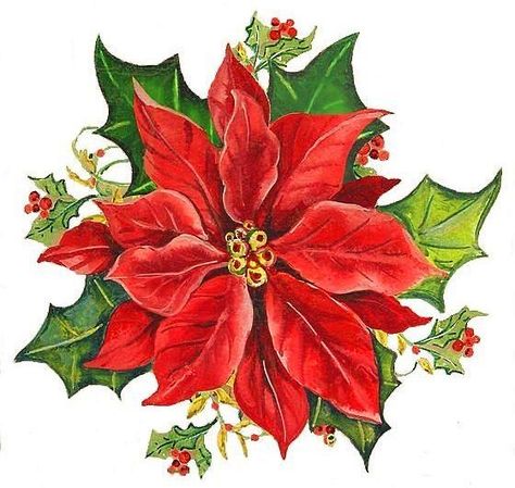 Christmas Decoupage, Victorian Scrap, Christmas Rock, Christmas Card Art, Poinsettia Flower, 수채화 그림, Christmas Flowers, Christmas Drawing, Christmas Scenes