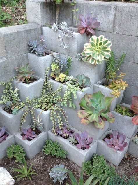 Funny Vine, Cinder Block Garden, Cinder Blocks, Upcycle Garden, Corner Garden, Gardening Trends, Cement Planters, Rock Garden Landscaping, Cinder Block