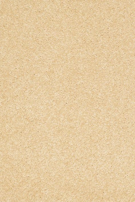 Our Shaw Floors QUEEN OF HEARTS | MOON GLOW is carpet flooring made to make your life easier. Click to learn more. Background Aquarium, Sand Floor, Flooring Texture, Sand Texture, Window Display Design, Garden Floor, Floor Texture, Sand Textures, Brick Texture