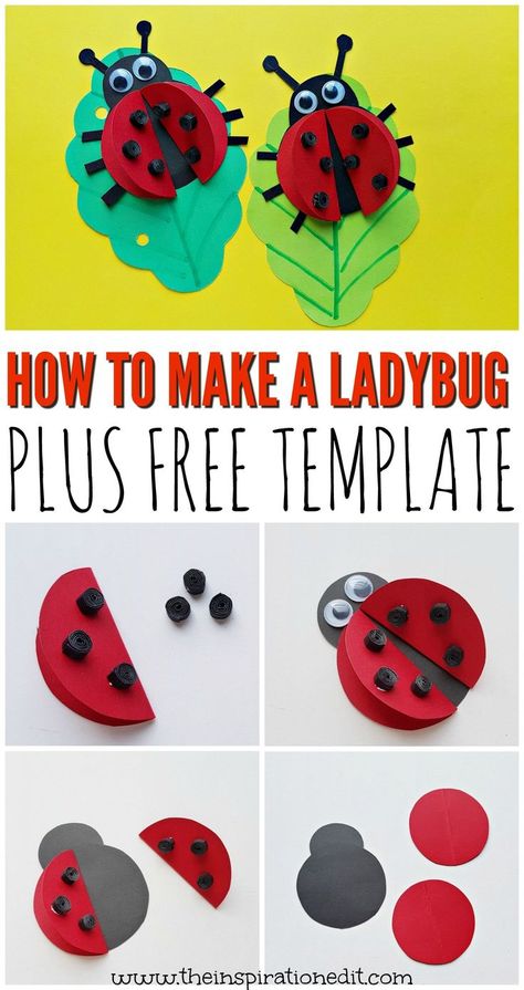 Today we have a super easy ladybug craft which is a brilliant preschool activity idea for little ones . This paper ladybug craft is a great spring themed art idea and a fabulous idea for developing fine motor skills.  #spring #paper #template #free Spring Crafts Ladybug, Ladybug Art For Kids, Preschool Ladybug Craft, Spring Theme Crafts, Insects Crafts Preschool, Preschool Ladybug, Ladybug Crafts For Kids, Paper Ladybug Craft, Ladybug Activity