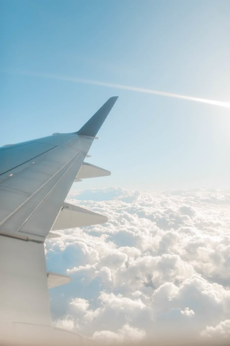 Julia Rose, Above The Clouds, Rose Photography, A Plane, Do Something, The Clouds, Maui