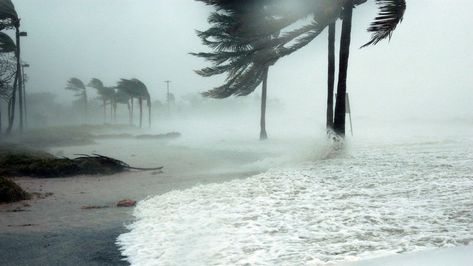 Study: Climate Change Makes Hurricanes Stay Stronger, Longer - EcoWatch Storm Surge, Time To Leave, Tropical Storm, Key West Florida, Gulf Of Mexico, Water Damage, Nassau, Rio Grande, Key West