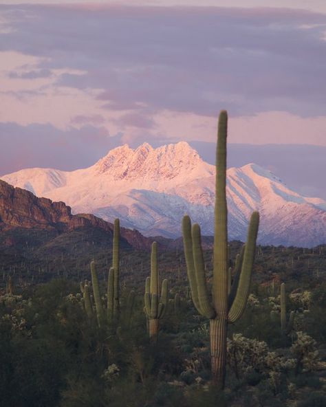 Favorite tweet by @ztesties Superstition Mountains, Desert Painting, Pretty Landscapes, Jolie Photo, In The Desert, Nature Aesthetic, Pretty Places, Travel And Leisure, Travel Aesthetic