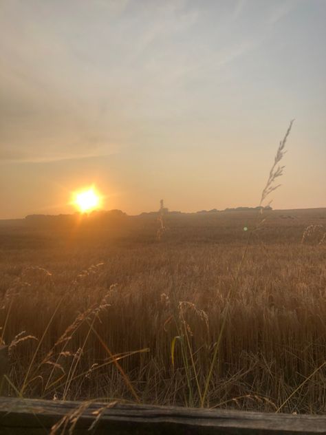 Hay Field Aesthetic, Hay Aesthetic, Astetic Photos, Aesthetic Countryside, Midwest Summer, Countryside Photos, Field Aesthetic, Hay Field, Country Nature