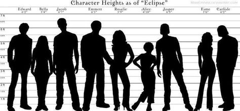 Character heights as of Eclipse Height Comparison Chart, Chart Character, Height Comparison, Human Height, Alice And Jasper, Animation Drawing, Team Jacob, Comparison Chart, Marvel Characters Art