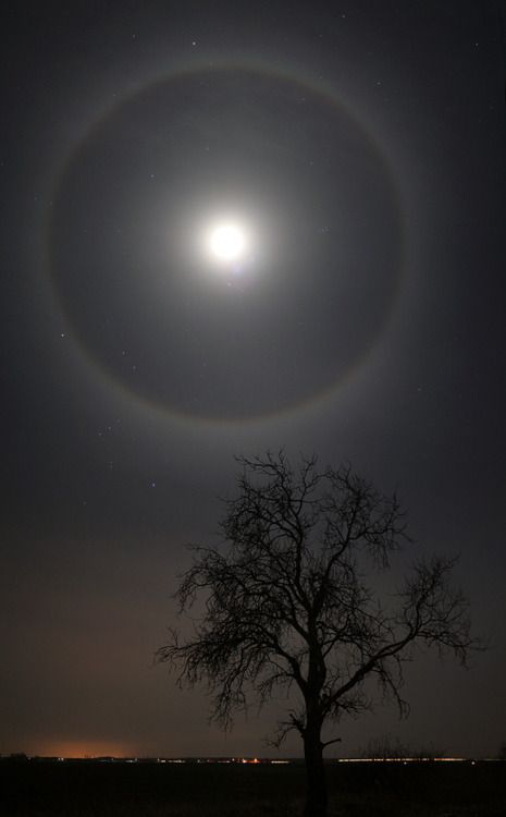 . Ring Around The Moon, Moon In The Sky, Astronomy Pictures, Shoot The Moon, Moon Pictures, Dark Sky, Beautiful Moon, To Infinity And Beyond, A Circle