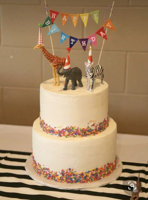 Zoo Animals Birthday Party, Party Animal Party Food, Party Animal Theme Cake, Zoo Bday Party Ideas, Zoo Third Birthday Party, Party Animal Birthday Theme Cake, Zoo Animal Party Ideas, Wild Animal Birthday Party Food, Zoo Party Food Ideas